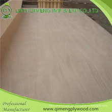 Bbcc Dbbcc Grade Poplar Hardwood Core 4&#39;x8 &#39;12mm Okoume Plywood